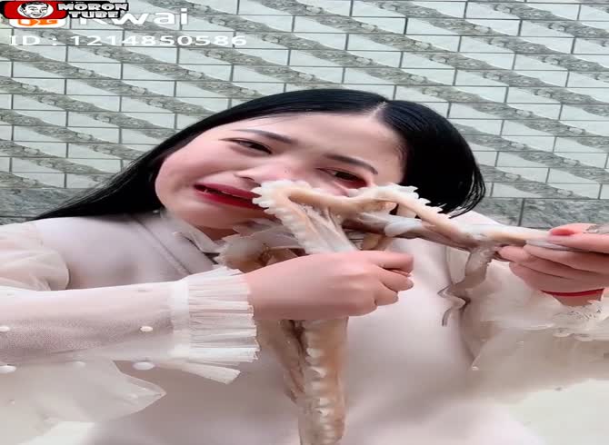 Video :An octopus attacks a YouTuber live